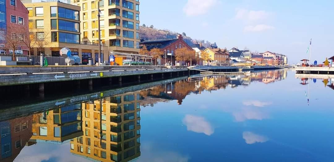 Studio W Centrum Miasta Holmestrand, Norwegia Ngoại thất bức ảnh