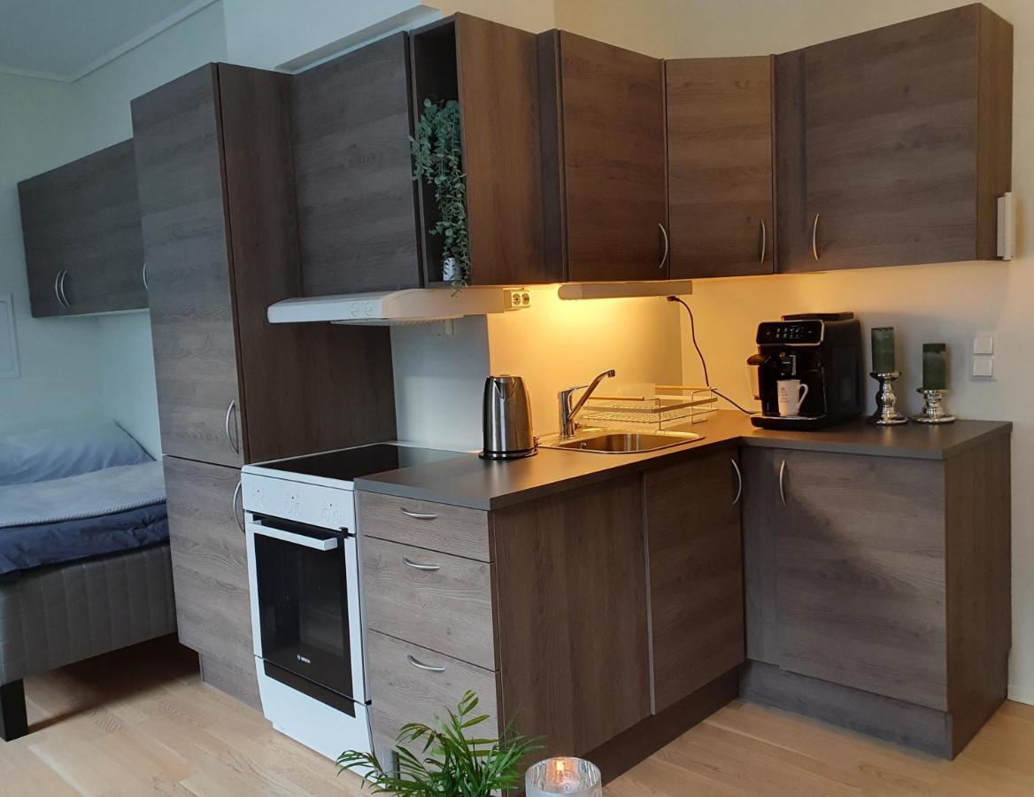 Studio W Centrum Miasta Holmestrand, Norwegia Ngoại thất bức ảnh